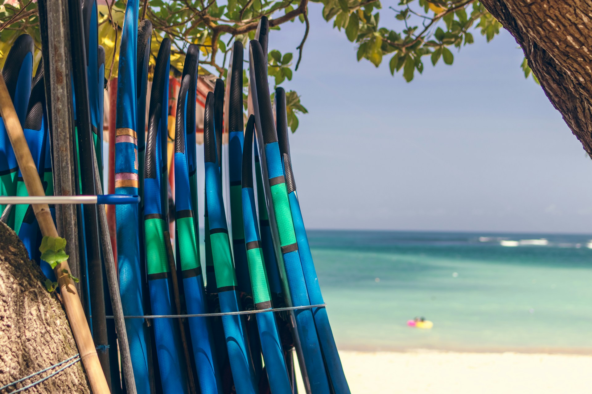 photo - surf board rentals waikiki lined up next to a tree on a hawaiian beach