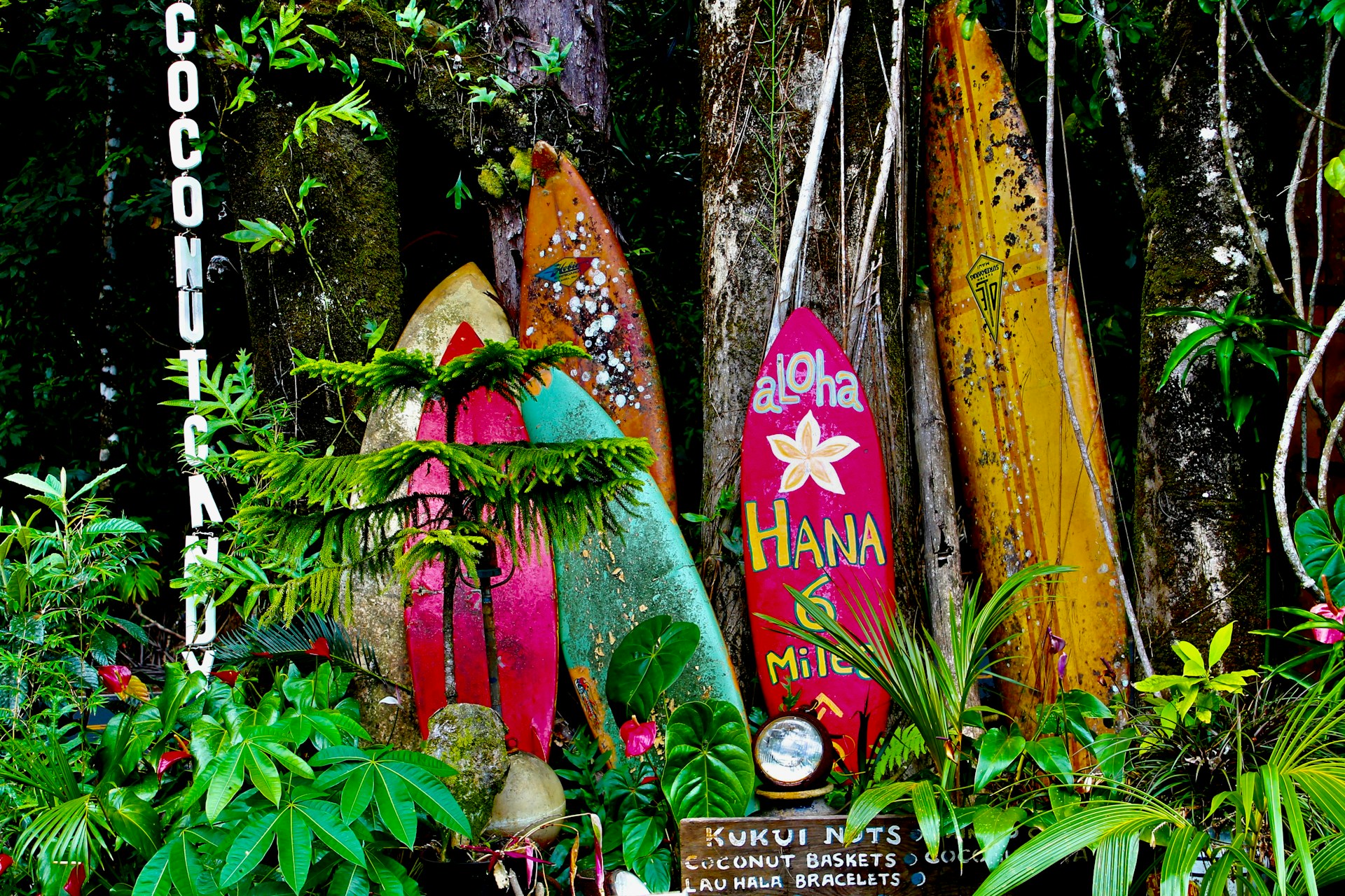 photo - hawaii surfboards stacked in the greenery