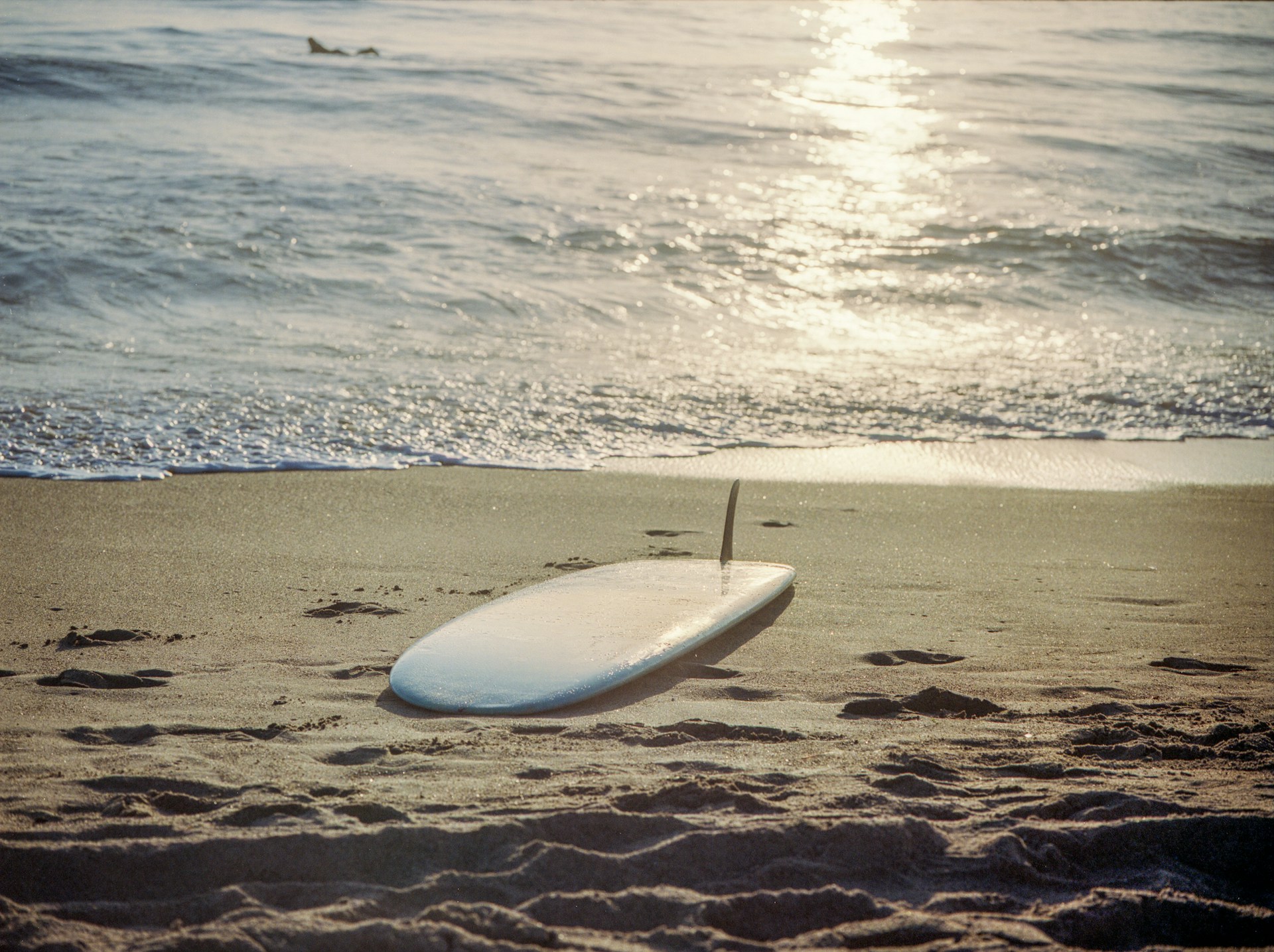 photo - a surfboard on the sand next to the ocean water in hawaii