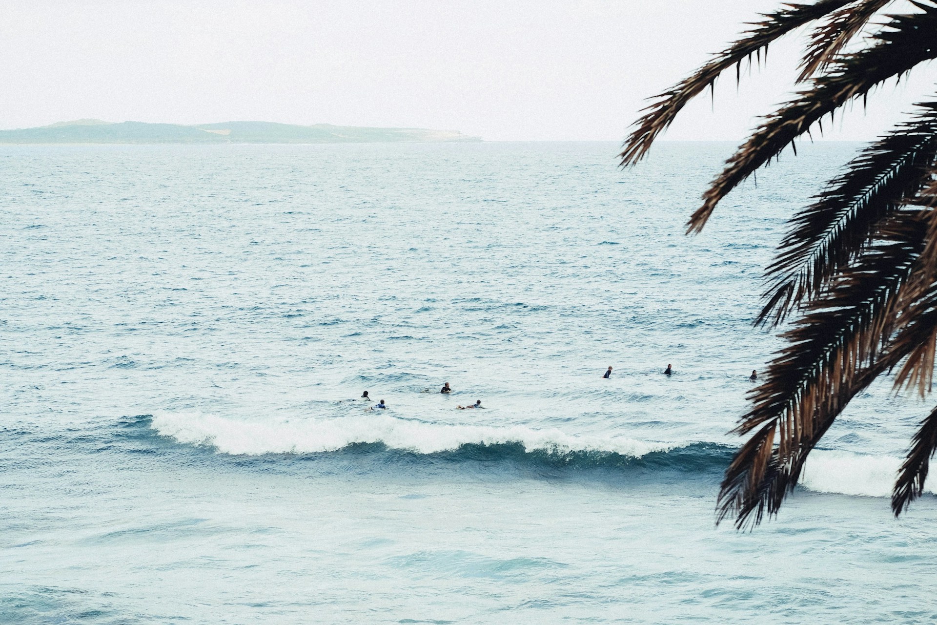 photo - blue ocean water with a palm tree ont he side, people surfing in the middle