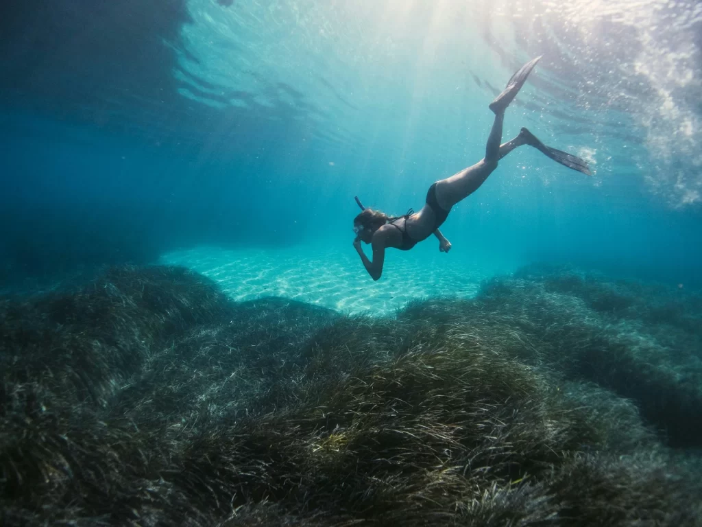 photo - a woman is snorkeling in hawaii