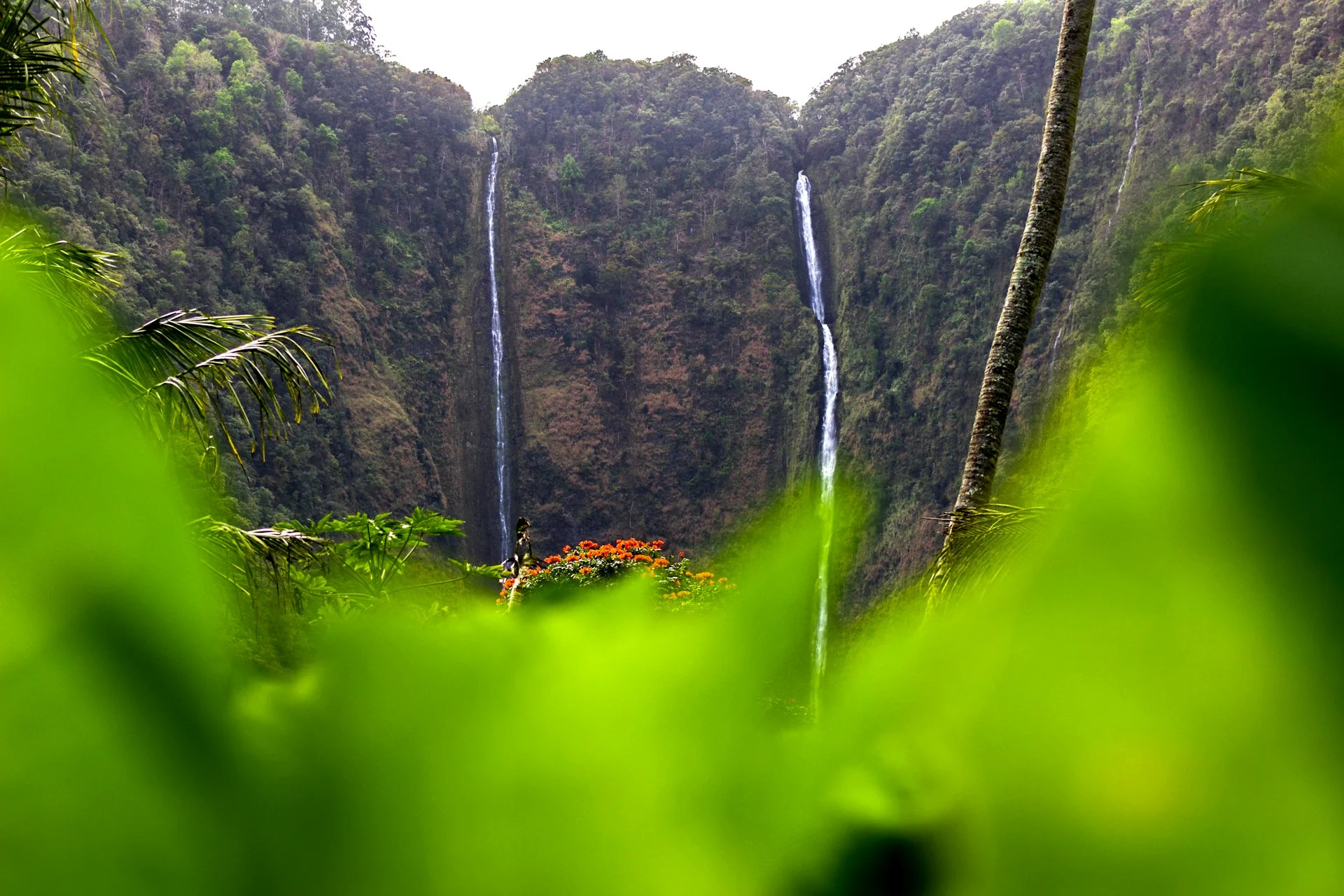 photo - hawaiian waterfall on a hiking trip where tourists can learn hawaiian greetings