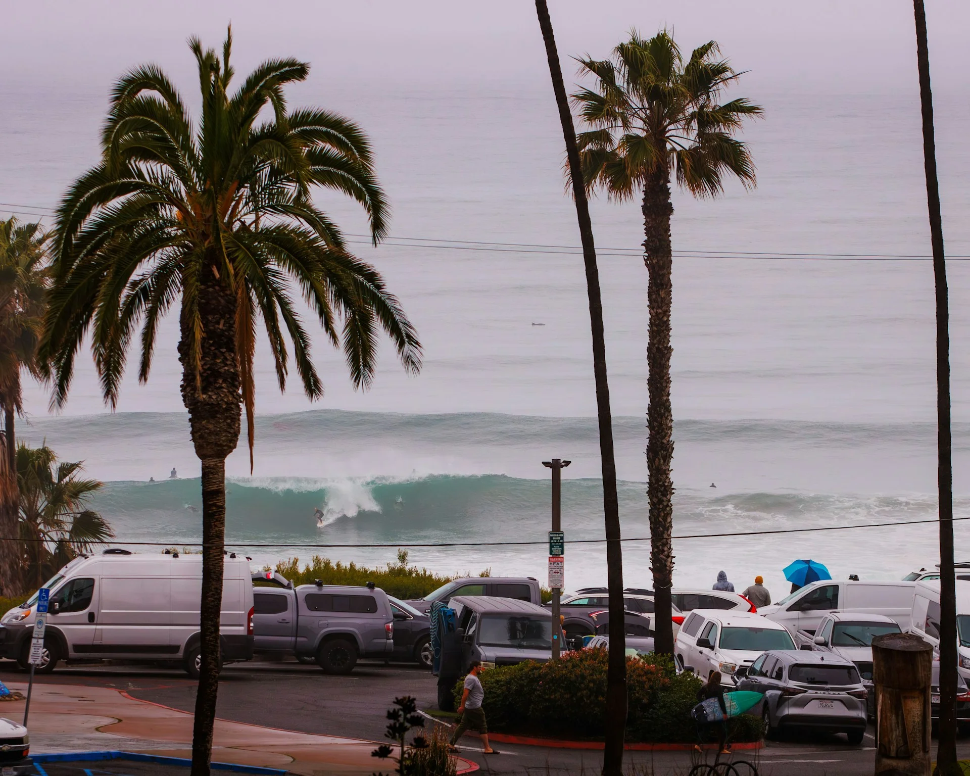 photo - a hawaii surfing beach scenery with vans of professional surfers from hawaii, palm trees and big rolling waves