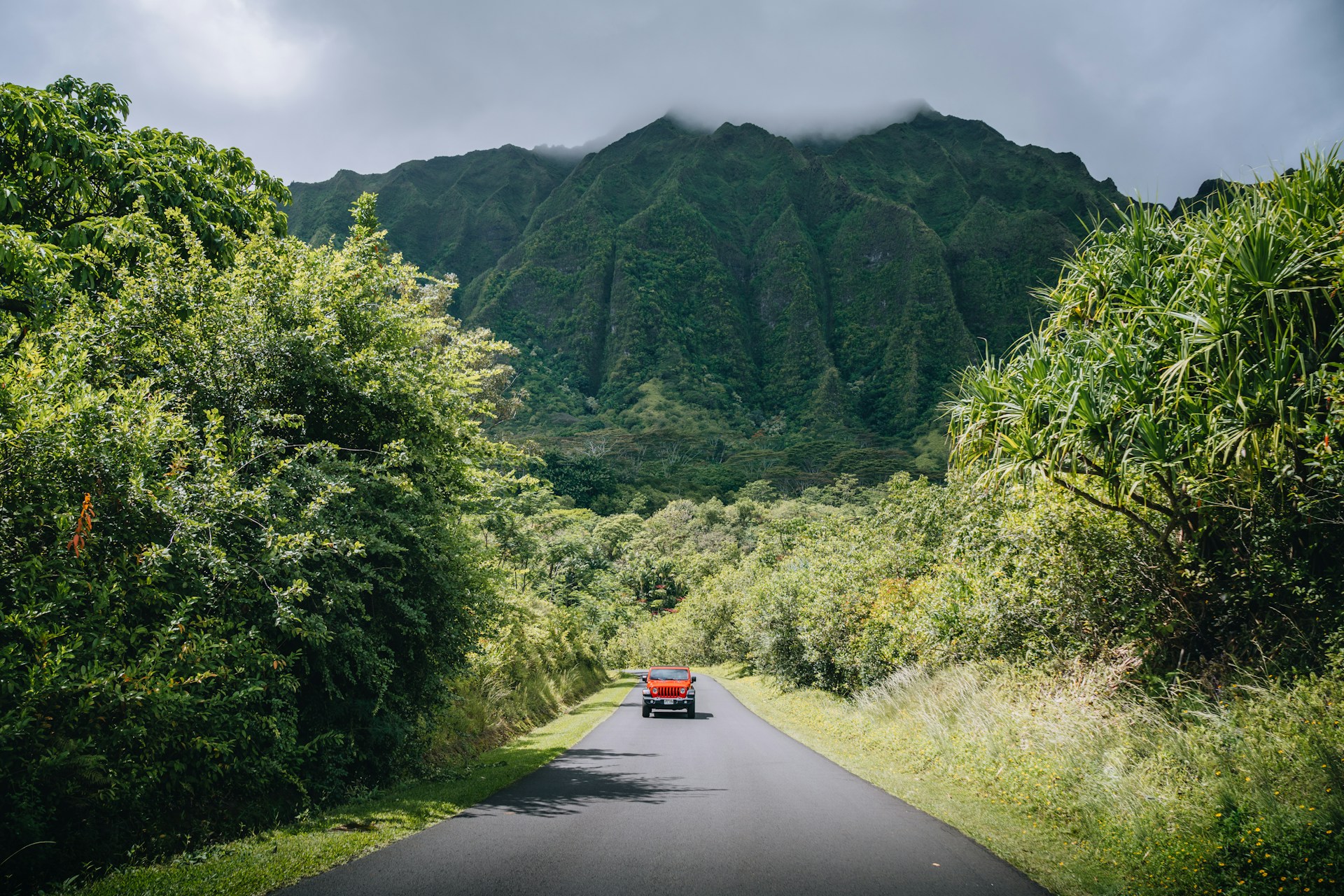 photo - hawaiian road with beautiful tropical mountains and a scenic road with red jeep driving through 