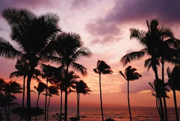 photo - a beautiful Waikiki Beach Sunset