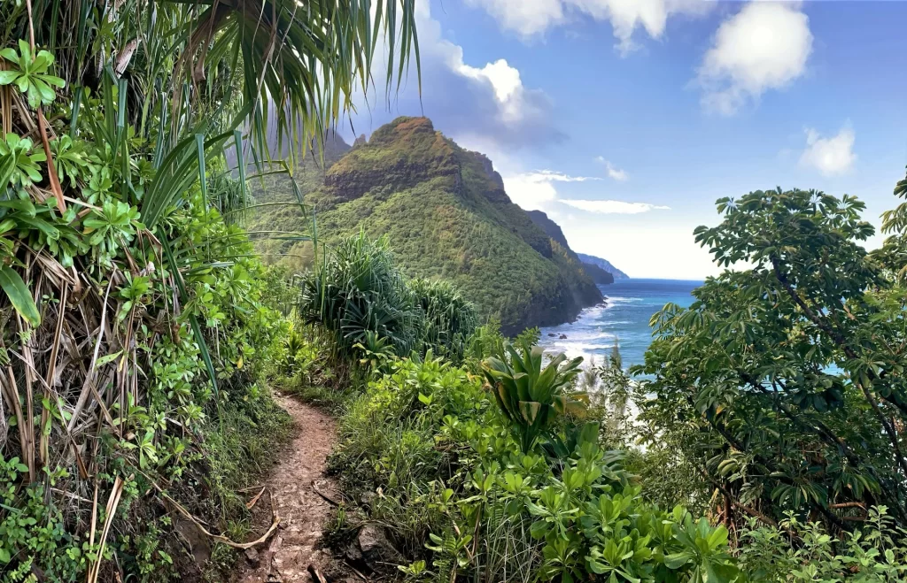 photo - a beautiful hawaiian landscape map of waikiki beach