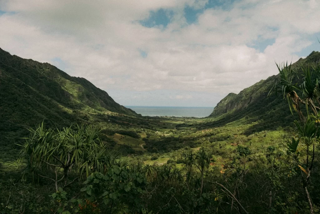 photo - beautidul nature surrounding the town of Makaha Hawaii 