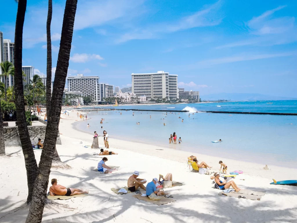 photo - how to learn to surf with surfing lessons waikiki