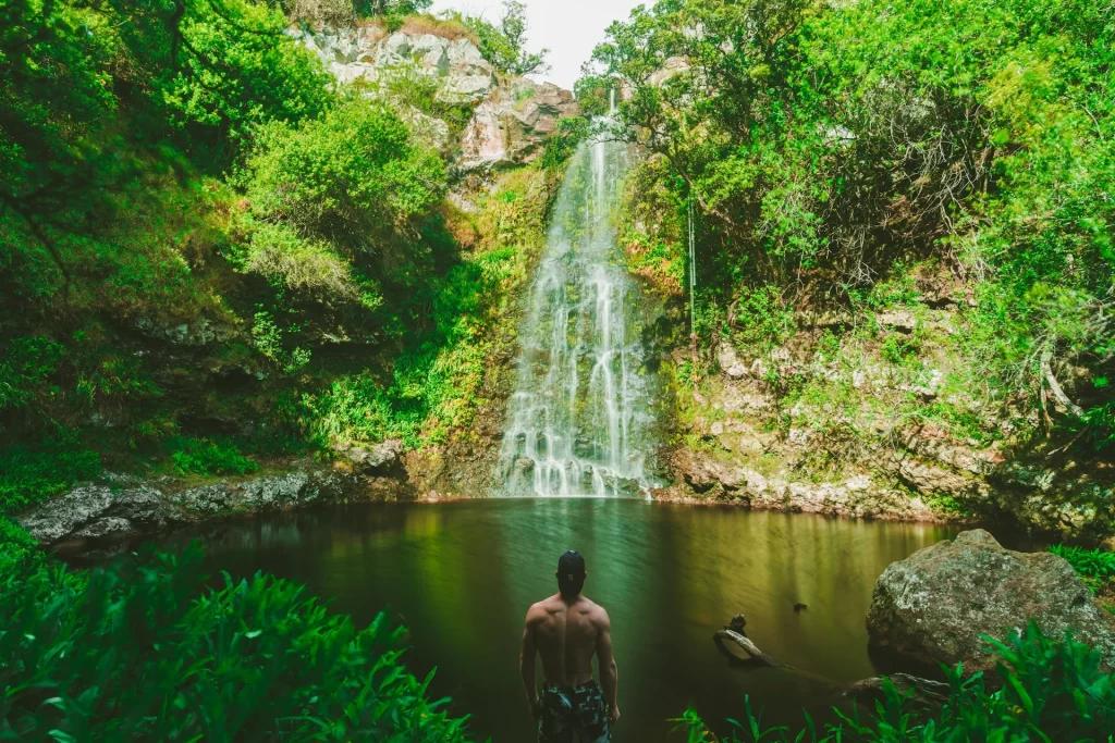 photo - a beautiful shot of best hikes oahu